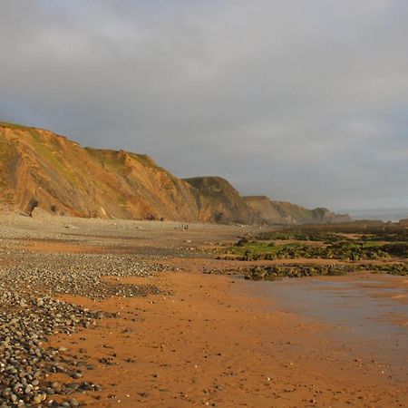 Luxury Cornish Holiday Accommodation With Sea View 布德 外观 照片