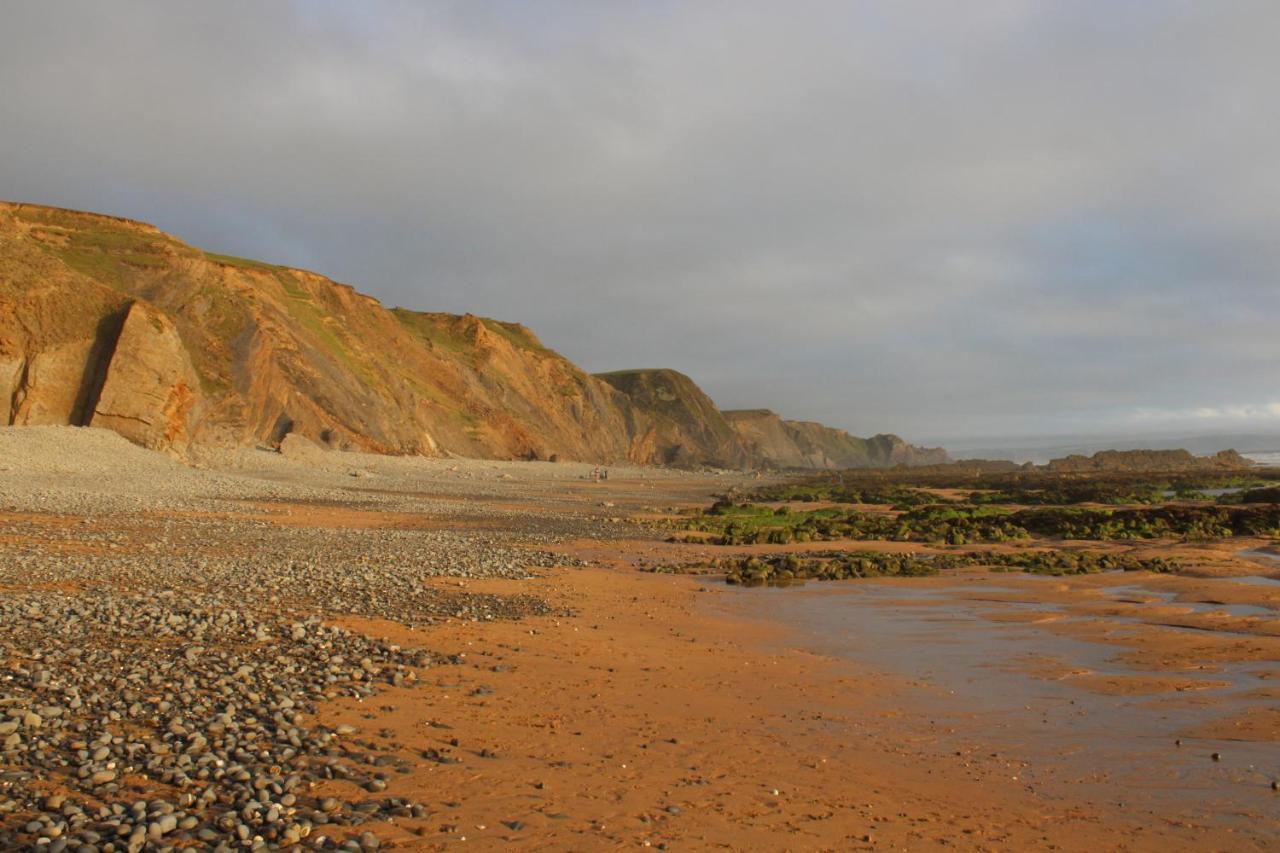 Luxury Cornish Holiday Accommodation With Sea View 布德 外观 照片